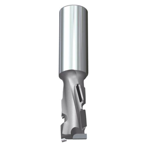 DIAMANTOVÁ FRÉZA DRÁŽKOVACÍ ZÁVRTNÁ Z1+1 PROFI