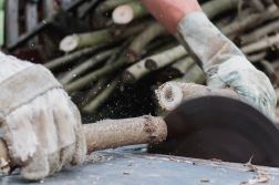 Jak si připravit dřevo na zimu