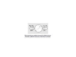 SET formátovacího pilového kotouče SK + předřez - PILANA (1)