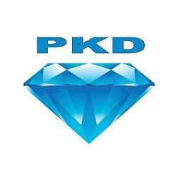 PŘEDŘEZOVÝ KOTOUČ PKD 5373 - kónický (3)
