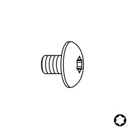 Šroub M5x8  TX25  s půlkulatou hlavou TORX